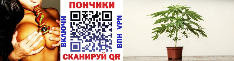 Как найти закладки Струнино АМФ СК МЕФ Каннабис