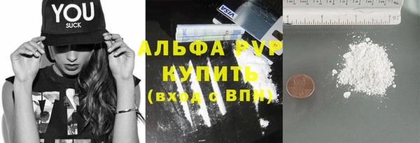 сатива Аркадак