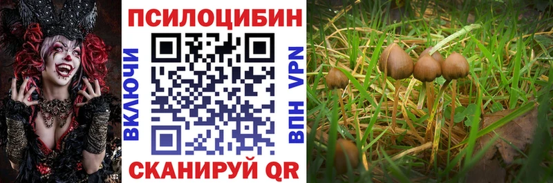 Псилоцибиновые грибы GOLDEN TEACHER  Струнино 